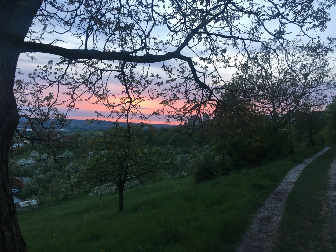 Mönchberg_abends
