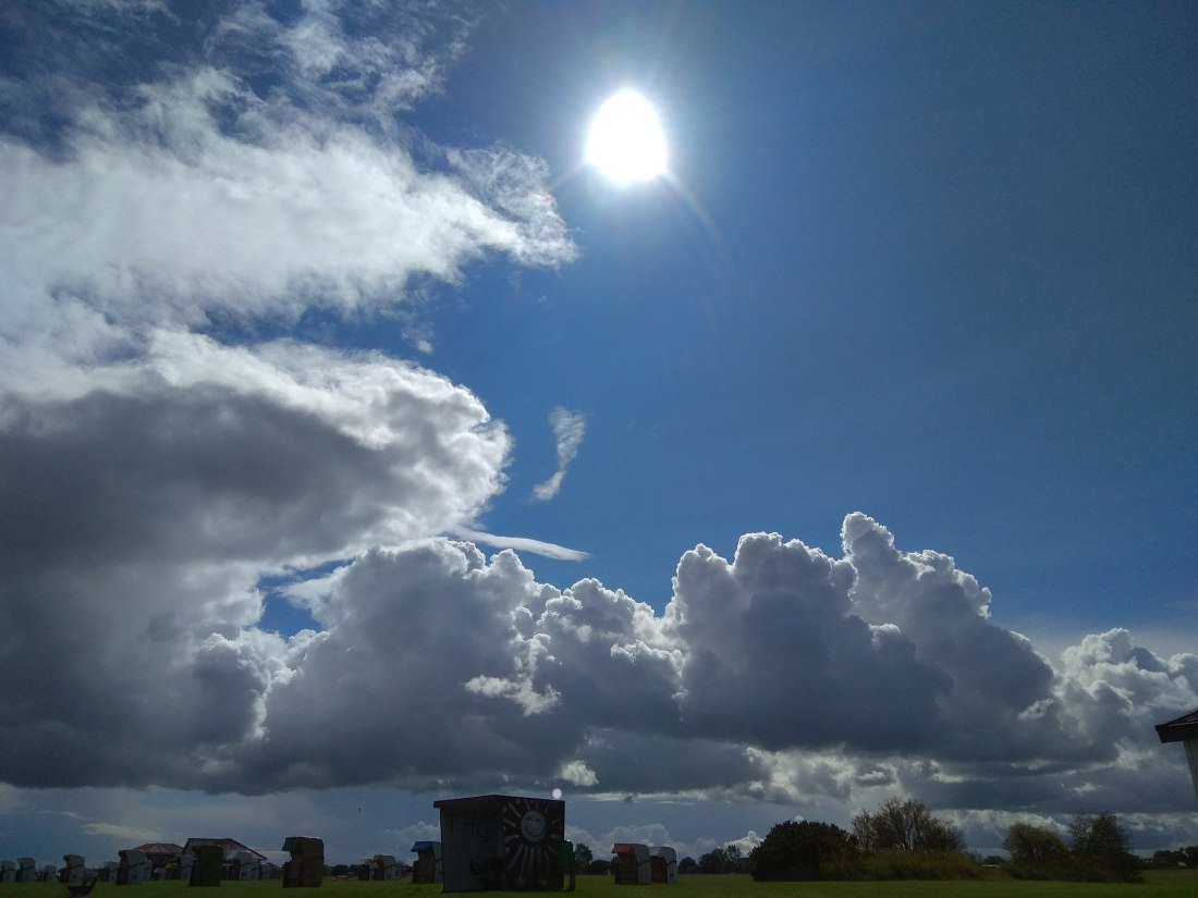 IMG_20180825_145903 (1)