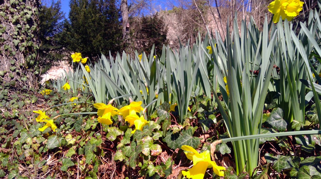 WIN_20200324_12_08_47_Pro