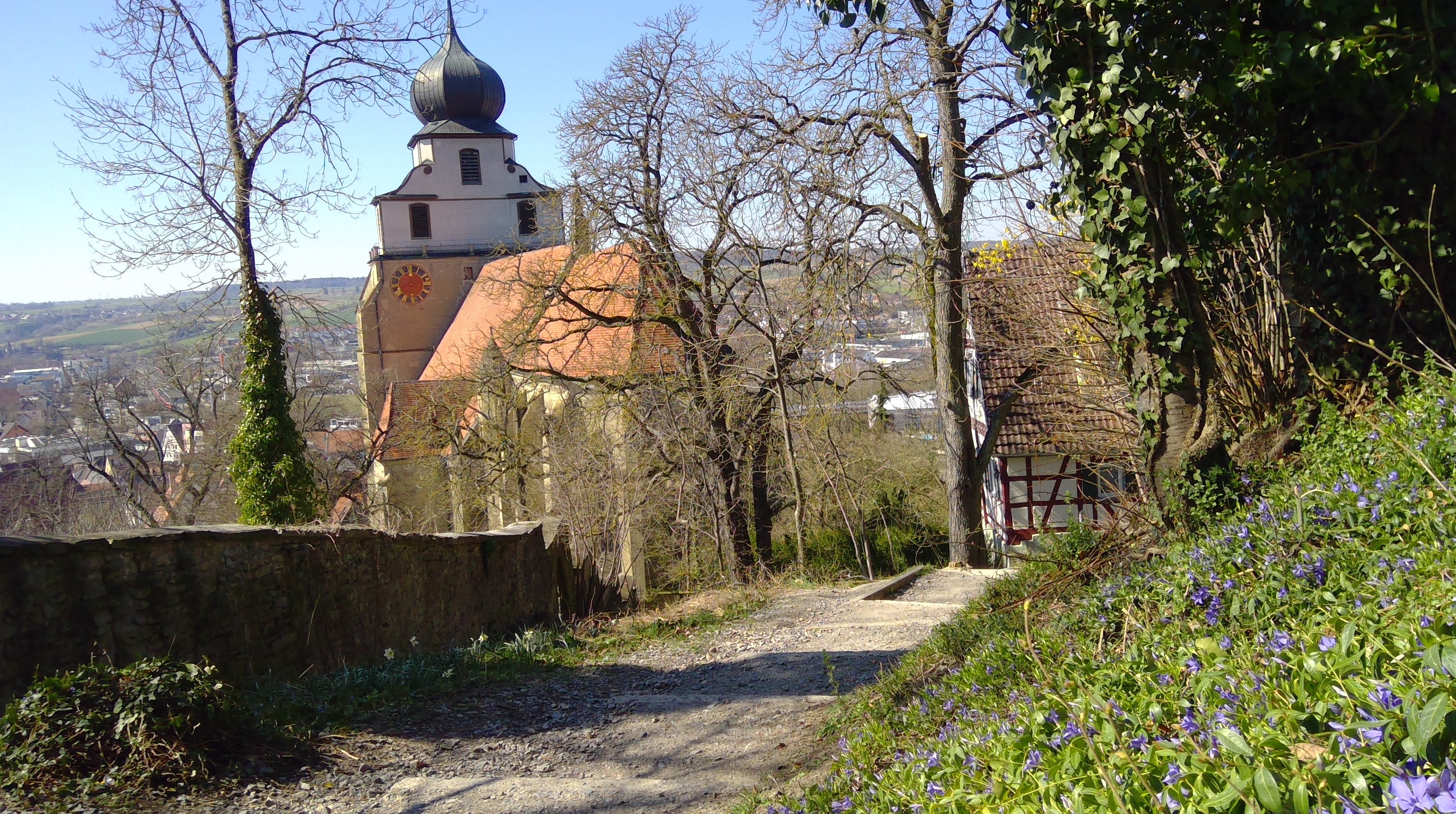 WIN_20200324_12_12_19_Pro